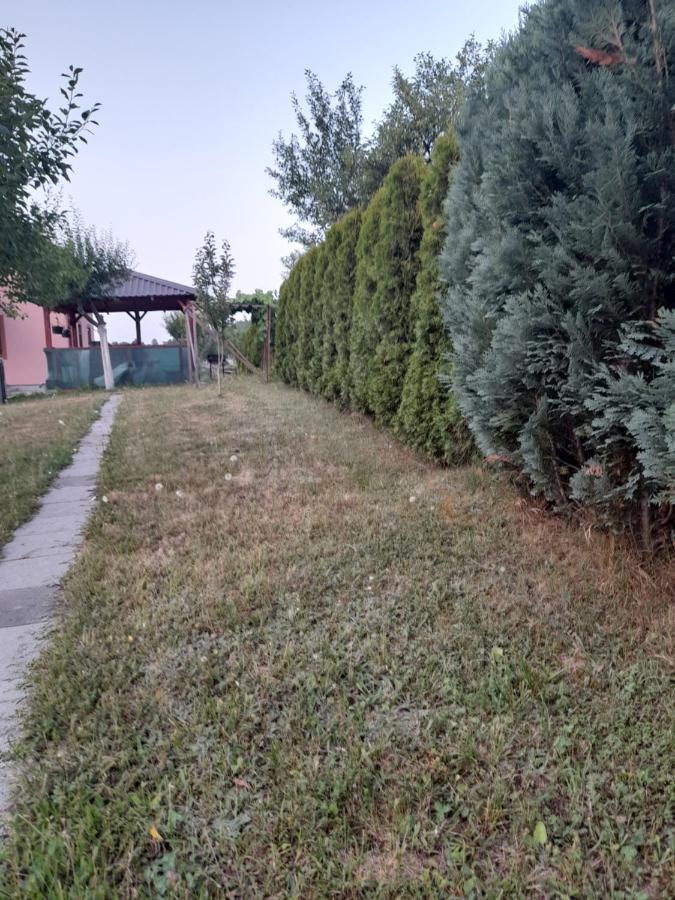Villa Usivak for green quiet holiday near SJJ Exterior foto