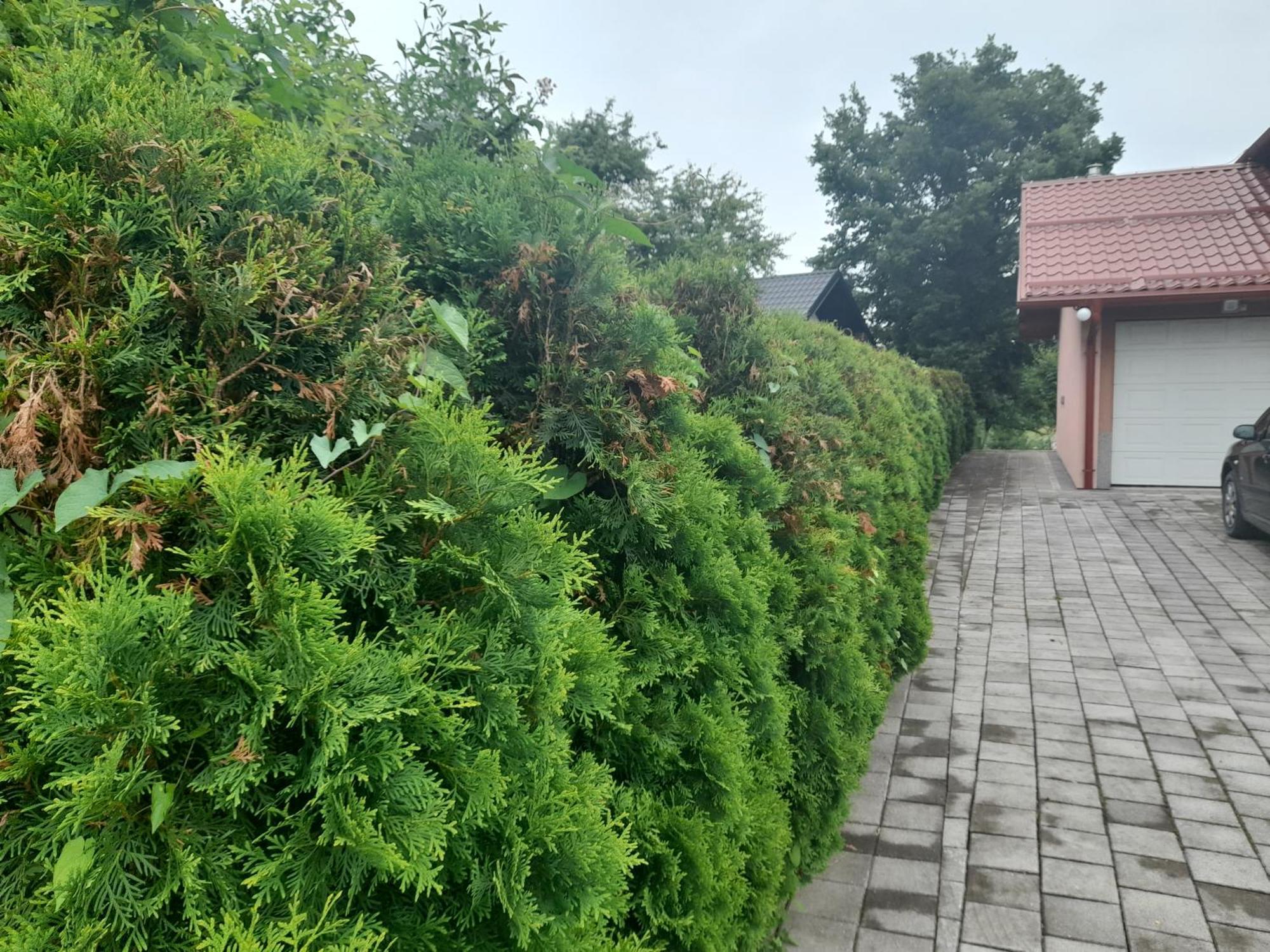 Villa Usivak for green quiet holiday near SJJ Exterior foto